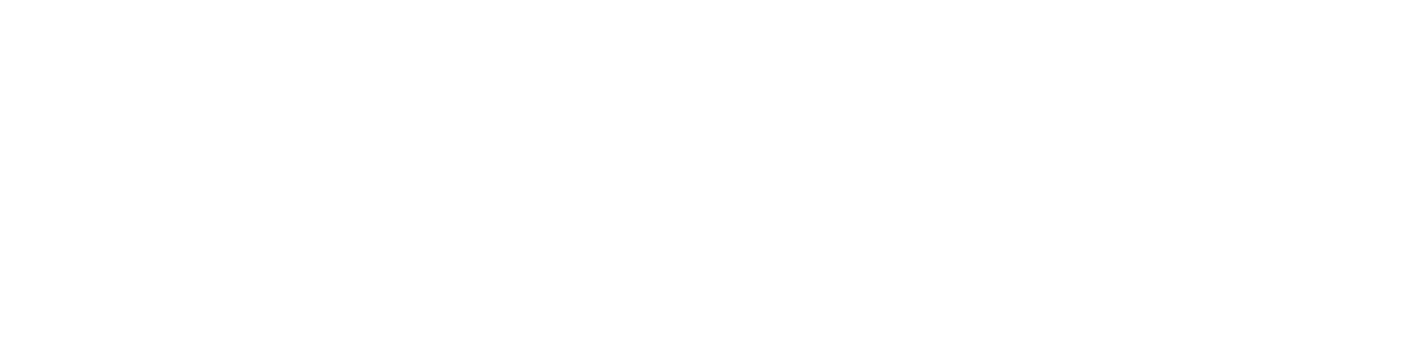 VeriWeb – Ihr Partner für barrierefreie Websites und professionelle Webentwicklung in Magdeburg